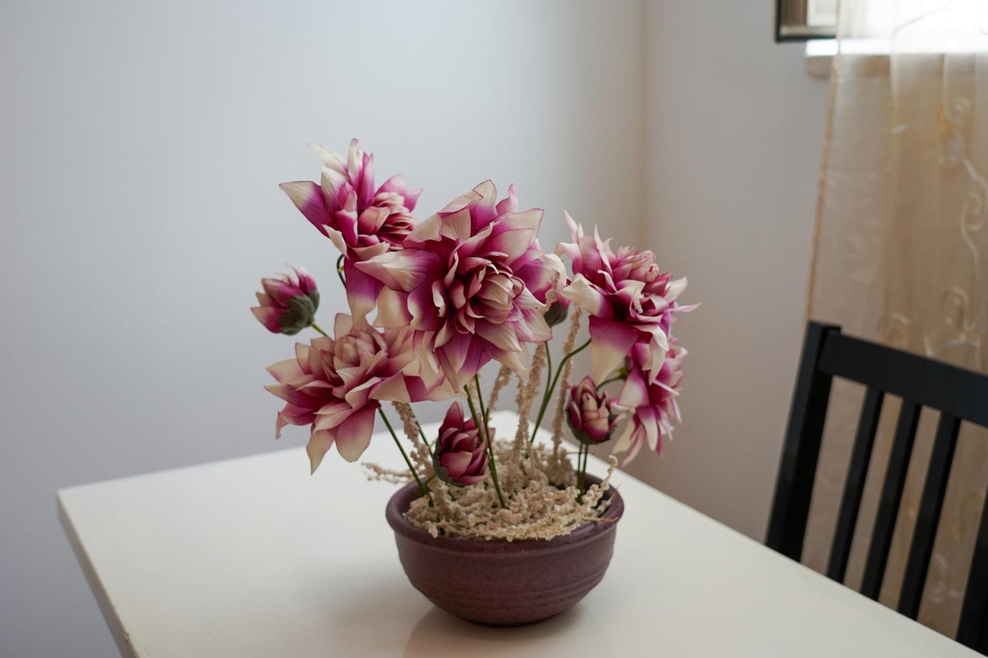 לצ'ה Residence Lupiae מראה חיצוני תמונה